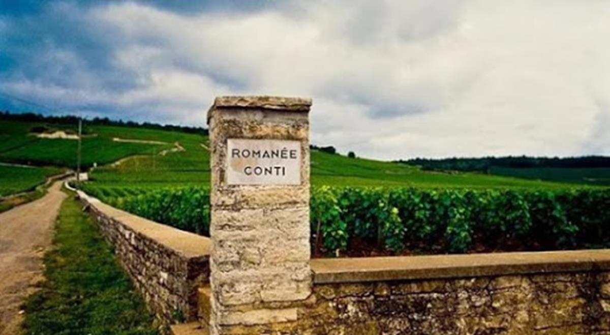 10 Coisas que todo amante de vinho deve saber sobre Domaine Romanée-Conti (DRC)