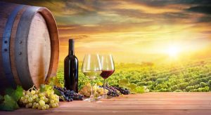 Vinhos importados: Como escolher os melhores rótulos para comprar vinhos-importados-via-vini