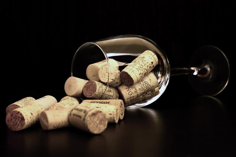 Os 2 Tipos de Adega de Vinho que Você Precisa Conhecer